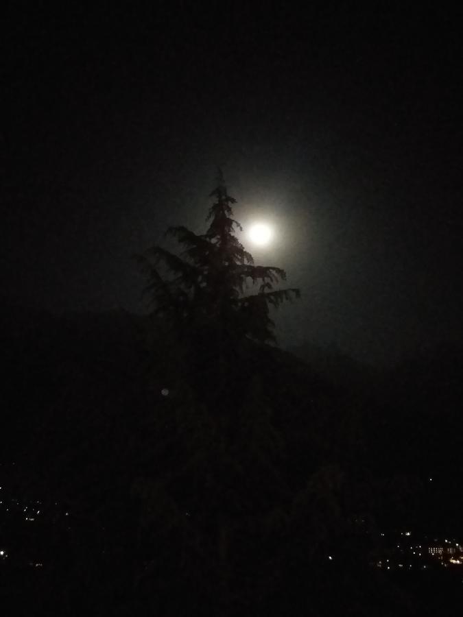 Hotel Seven Hills Manali Экстерьер фото